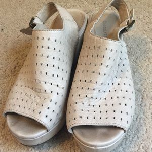 Chocolate Blu Wedges